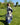robe longue à fleurs bleu électrique et crème, manches 3/4, en viscose, taille unique du 36 au 46