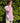 Chemise vichy rose Johanna Paris