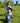 robe longue à fleurs bleu électrique et crème, manches 3/4, en viscose, taille unique du 36 au 46