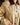 Détail trench beige avec marguerites en sequins, col velours chocolat et poches plaquées